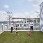 FIRST Residences rooftop dog park