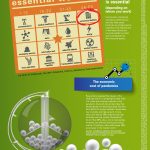 PRO infographic – Essential workers