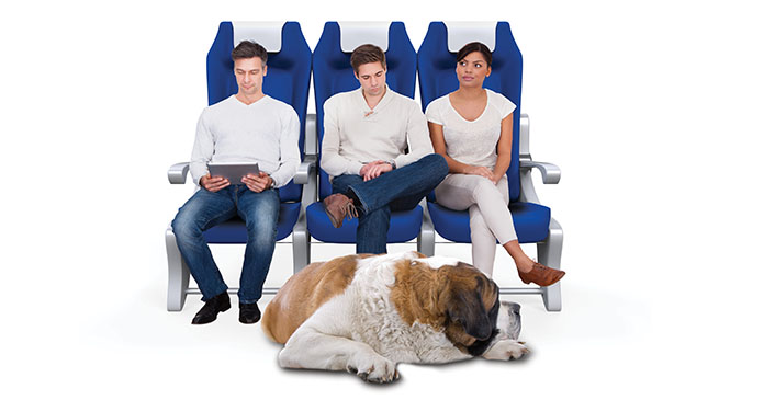 Pets on planes Change ahead Yield PRO