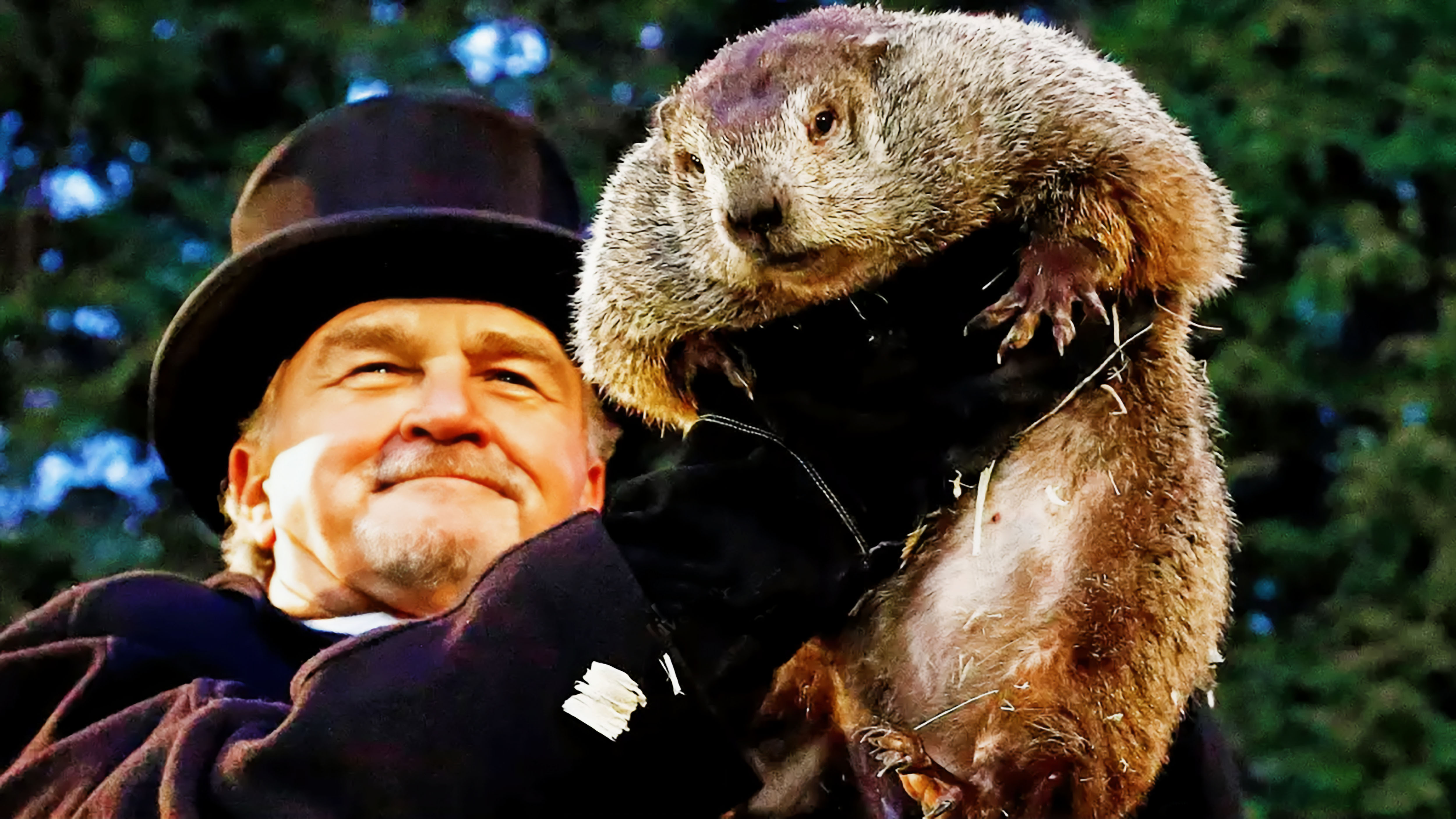 John Griffiths (Bill Murray) holds Punxsutawney Phil, the weather prognosticating groundhog, in Punxsutawney, Pennsylvania. (Gene J. Puskar / Associated Press)