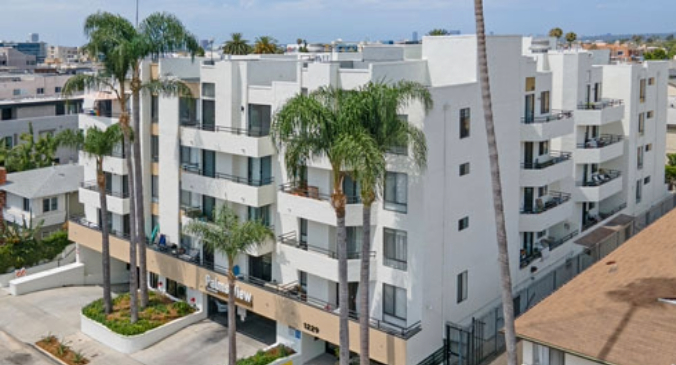 Palms View